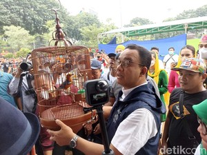 Anies Bawa Burung Anis Merah Ikut Lomba Berkicau