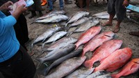Harga ikan di daerah itu mengalami kenaikan dari Rp250 ribu-Rp400 ribu per keranjang (25-35Kg) menjadi Rp350 ribu-Rp600 ribu per keranjang tergantung jenisnya akibat menurunnya hasil tangkapan.