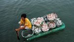 Tangkapan Nelayan Turun, Harga Ikan Naik