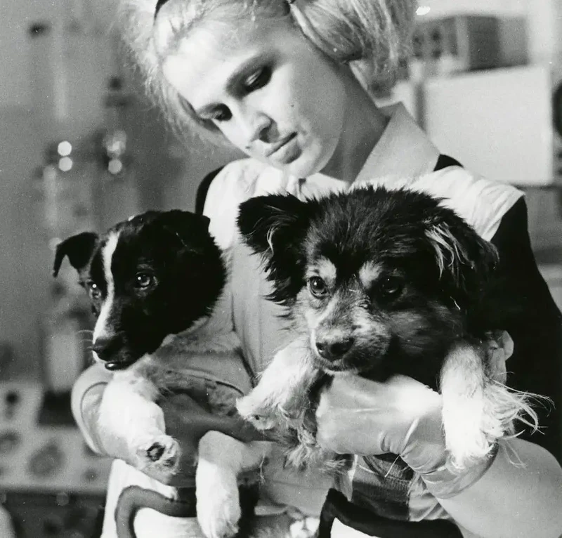 Hewan yang pernah ke luar angkasa