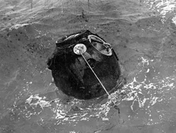 Kisah 10 Hewan yang Pernah Terbang ke Luar Angkasa