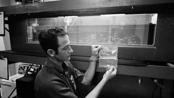 NASA mengirimkan ikan mummichog ke stasiun luar angkasa Skylab pada tahun 1973 untuk mempelajari bagaimana absennya gravitasi mempengaruhi perilaku ikan. Setibanya di luar angkasa, ikan-ikan ini menunjukkan perilaku yang aneh yaitu berenang secara melingkar. Foto: NASA