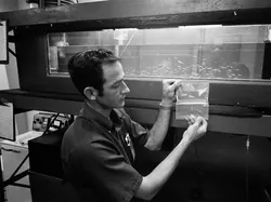 Kisah 10 Hewan yang Pernah Terbang ke Luar Angkasa