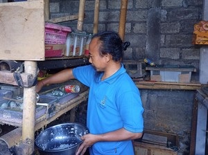 Bisnis Tikus Putih, Pria di Karangasem Raup Cuan Jutaan Rupiah