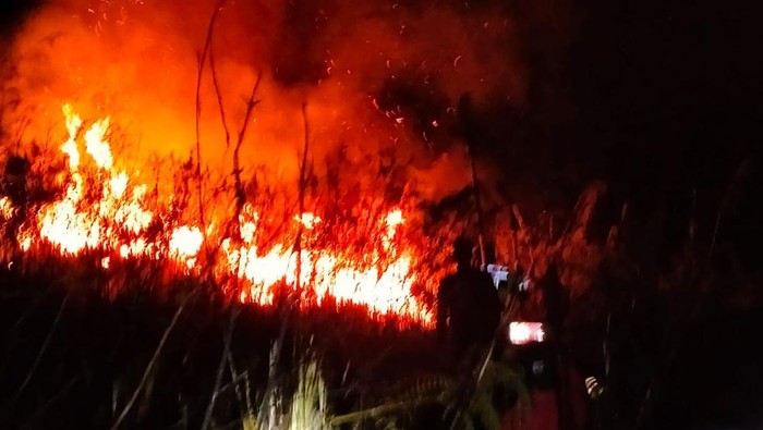 Kebakaran di perbukitan Kabupaten Samosir