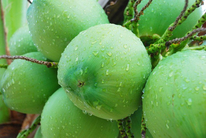 Kelapa Nam Hom asal Thailand yang disebut-sebut paling enak.