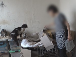 Kisah Penyanyi Tinggal di Rumah Penuh Sampah, Rawat 30 Kucing Jalanan