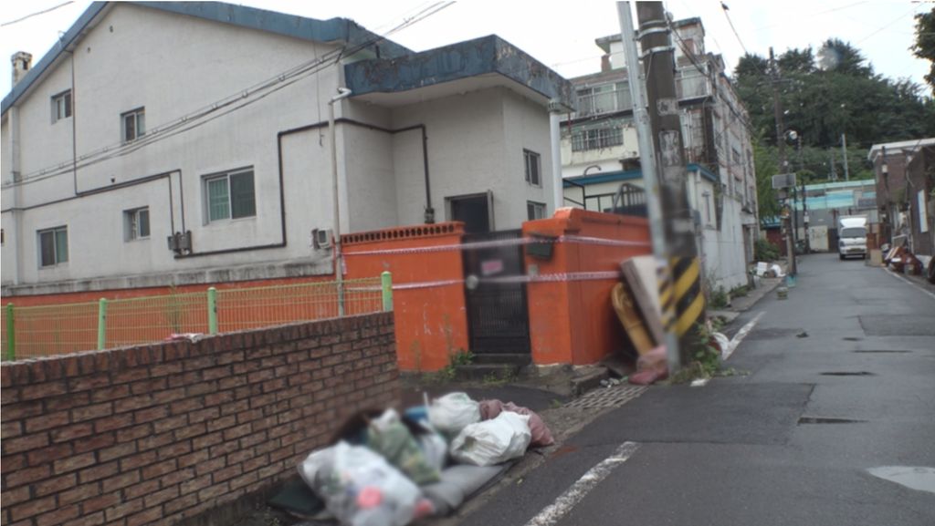 Kisah Penyanyi Tinggal di Rumah Penuh Sampah, Rawat 30 Kucing Jalanan