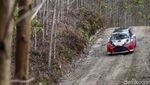 Lihat Aksi Pebalap Banteng Motor Sport di Danau Toba Kejurnas Rally 2022