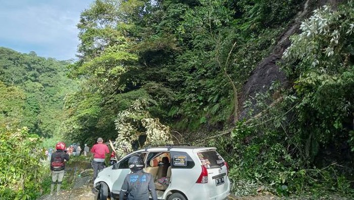 Longsor dan pohon tumbang di Lembah Anai