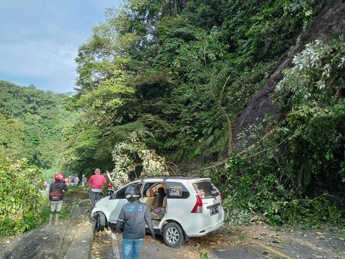 Longsor dan pohon tumbang di Lembah Anai