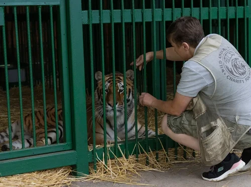 Natalia Popova, penyelamat binatang di perang Rusia vs Ukraina