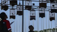 Para juri melakukan penilaian terhadap 60 burung yang ikut berkontes.