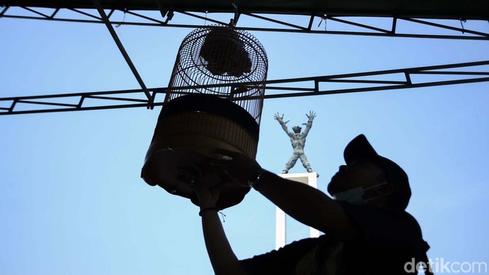 Dinas Pariwisata dan Ekonomi Kreatif Provinsi DKI Jakarta menggelar Piala Gubernur Lomba Kicau Burung Jakarta. Para pecinta burung aduan tumpah ruah di sini.