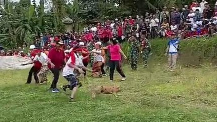 Suasana lomba ngejuk kucit dalam perayaan HUT RI Ke-77 di Desa Sangketan, Kecamatan Penebel, pada Minggu (7/8/2022).