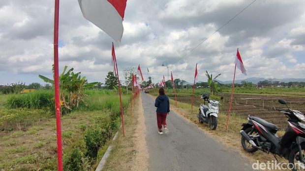 Suasana sawah di Dobangsan, Giripeni, Wates, Kulon Progo yang dihiasi 1.000 bendera, Minggu (7/8/2022).
