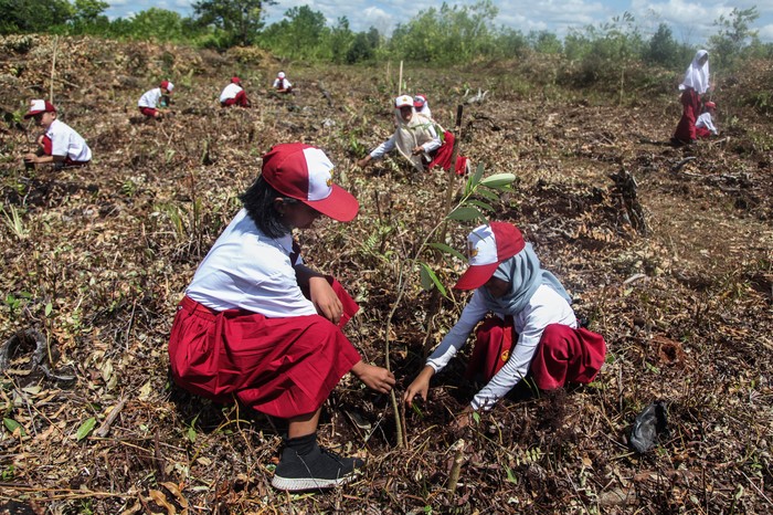 Sejumlah peserta menanam bibit pohon di atas lahan gambut dalam program pelestarian lingkungan di Resort Habaring Hurung, Palangka Raya, Kalimantan Tengah, Senin (8/8/2022). Aksi penanaman 200 bibit pohon yang diinisiasi oleh Balai Taman Nasional Sebangau bersama Borneo Nature Foundation (BNF) tersebut sebagai upaya mendukung pemulihan ekosistem di kawasan konservasi perlindungan orangutan dan tanah gambut serta menyambut Hari Konservasi Alam Nasional 2022. ANTARA FOTO/Makna Zaezar/aww.