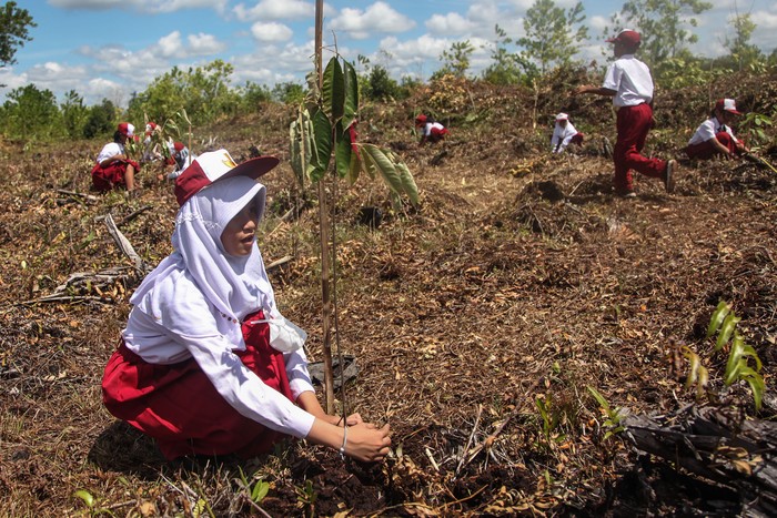 Sejumlah peserta menanam bibit pohon di atas lahan gambut dalam program pelestarian lingkungan di Resort Habaring Hurung, Palangka Raya, Kalimantan Tengah, Senin (8/8/2022). Aksi penanaman 200 bibit pohon yang diinisiasi oleh Balai Taman Nasional Sebangau bersama Borneo Nature Foundation (BNF) tersebut sebagai upaya mendukung pemulihan ekosistem di kawasan konservasi perlindungan orangutan dan tanah gambut serta menyambut Hari Konservasi Alam Nasional 2022. ANTARA FOTO/Makna Zaezar/aww.