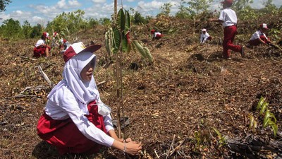 Menyulap Lahan Gambut yang Gersang Jadi Media Belajar yang Asyik