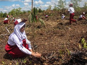 Menyulap Lahan Gambut yang Gersang Jadi Media Belajar yang Asyik