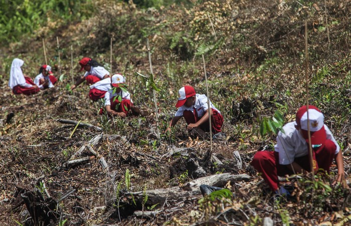 Sejumlah peserta menanam bibit pohon di atas lahan gambut dalam program pelestarian lingkungan di Resort Habaring Hurung, Palangka Raya, Kalimantan Tengah, Senin (8/8/2022). Aksi penanaman 200 bibit pohon yang diinisiasi oleh Balai Taman Nasional Sebangau bersama Borneo Nature Foundation (BNF) tersebut sebagai upaya mendukung pemulihan ekosistem di kawasan konservasi perlindungan orangutan dan tanah gambut serta menyambut Hari Konservasi Alam Nasional 2022. ANTARA FOTO/Makna Zaezar/aww.