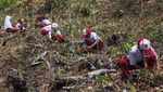 Menyulap Lahan Gambut yang Gersang Jadi Media Belajar yang Asyik
