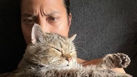 Dikta kerap memamerkan foto kemesraan bersama kucing kesayangannya ke akun Instagram. Kucing itu bernama Jimbon. Foto: Instagram