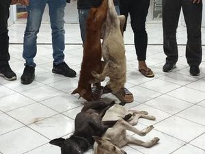 Pencuri Anjing di Sulut Diamuk Warga, Pelakunya Remaja