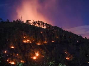 Ada 315 Titik Karhutla di Sumut, 11 Orang Ditangkap
