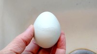 Belum terbentur tetapi sudah ada bagian yang retak di tengahnya. Menurut ahlinya telur yang bisa retak seperti ini lantaran tidak memiliki kalsium yang cukup sebagai komponen pembentuk cangkangnya. Foto: Little Things