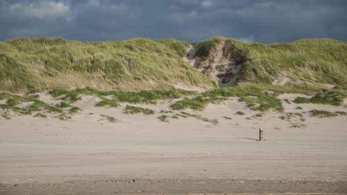 Sand dunes near Schoorl, the Netherlands
