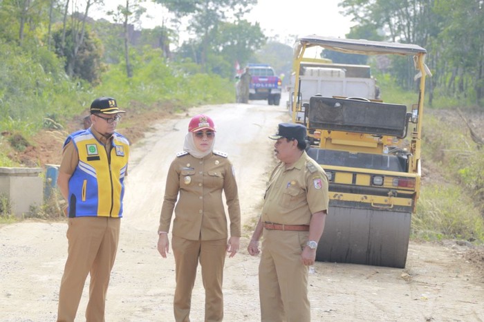 Bupati Tulang Bawang Tinjau Proyek Perbaikan Jalan di Banjar Baru