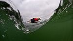 Aksi Seru Anjing-anjing yang Jago Surfing, Kamu Pasti Kalah
