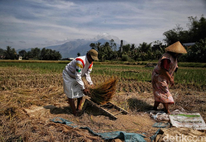 Garut dan warganya