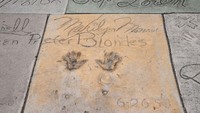 Cetakan tangan dan sepatu Marilyn Monroe di TCL Chinese Theatre juga menarik perhatian masyarakat umum.  Foto: Getty Images/Michael Tullberg