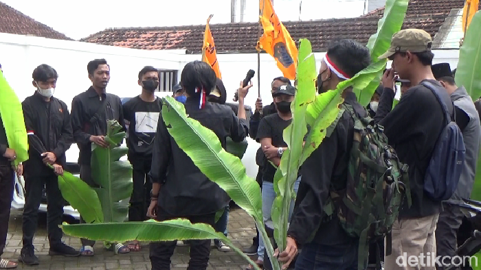 Mahasiswa di Lumajang bawa bibit pisang demo di Kejari setempat