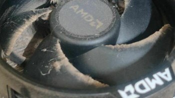 Ada cicak di kipas. Foto: Reddit