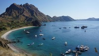 Dari kejauhan, pulau Padar tampak seperti sebuah lukisan. Perbukitan yang berlekak-lekuk tampak cantik dilihat, seperti dipahat dengan sempurna oleh Sang Pencipta. Pagi itu, Padar dikerumuni kapal yang mengangkut wisatawan. (Wahyu Setyo/detikTravel)