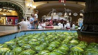 Begini displai unik buah semangka di sebuah mal di Moskow. Terdapat dua jenis semangka yang dicari saat musim panas di Rusia yakni semangka Astrakhan dan semangka Asia.