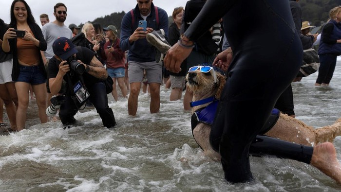 Rosie competes at the World Dog Surfing Championships in Pacifica, California, U.S., August 6, 2022. REUTERS/Carlos Barria     TPX IMAGES OF THE DAY