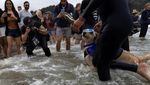 Potret Anjing-anjing Peselancar di Kejuaraan Dunia, Lucu Banget