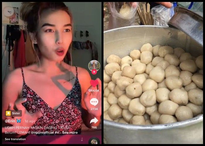 Temuan tikus dalam makanan