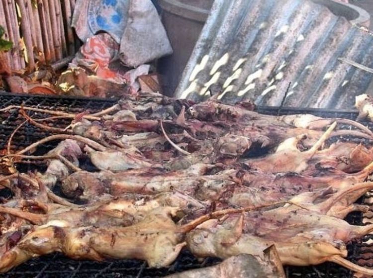 10 Kuliner Manado Nonhalal, Ragey hingga Pangi