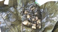Sepintas seperti sayuran biasa, tapi ini adalah pangi yang nonhalal. Pangi terbuat daari daun kluwak yang dirajang halus, dikukus, dan dibumbui aneka rempah. Pangi dimasak dengan cara dimasukkan ke bambu dan dibakar. Biasanya ditambahkan lemak babi. Foto: Instagram funeatinganddrink