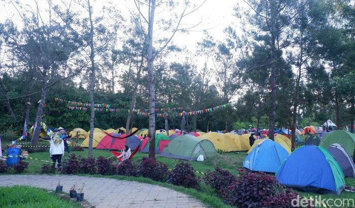 Camping ground saat Dieng Culture Festival (DCF) tahun 2019.