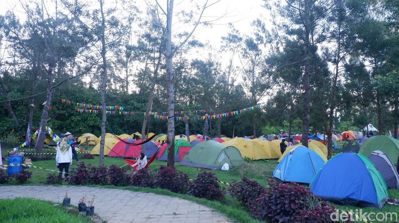 Camping ground saat Dieng Culture Festival (DCF) tahun 2019. Camping ground saat Dieng Culture Festival (DCF) tahun 2019.