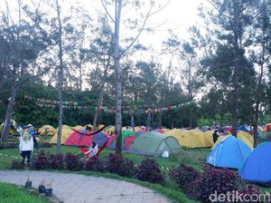 Penjualan Tiket Dieng Culture Festival Kembali Dibuka, Ini Fasilitas-Harganya