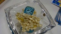 Permen jelly biasanya ditawarkan dengan harga yang terjangkau, namun tidak dengan pernen satu ini. Kreasi Beyond Gourmet Jelly Beans ini ditawarkan oleh David Klein seharga $ 500 (Rp 7,4 juta). Foto: financesonline.com