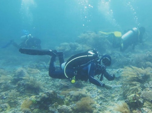 Gabungan Pengusaha Wisata Bahari dan Tirta (Gahawisri) DPC Labuan Bajo