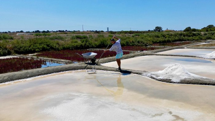 Gelombang Panas Bawa Berkah untuk Petani Garam di Prancis French salt maker Francois Durand harvests sea salt from a salt pan in Le Pouliguen, west France, August 5, 2022. The country’s record heatwave has seen salt yields nearly double this season as sunlight and light winds have driven the evaporation of seawater that’s let into the pans at high tides. REUTERS/Yann Tessier